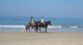 /album/paseo-a-caballo/caballo-1-jpg/